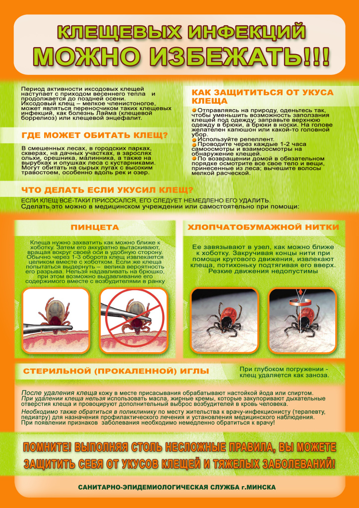 Профилактика клещей