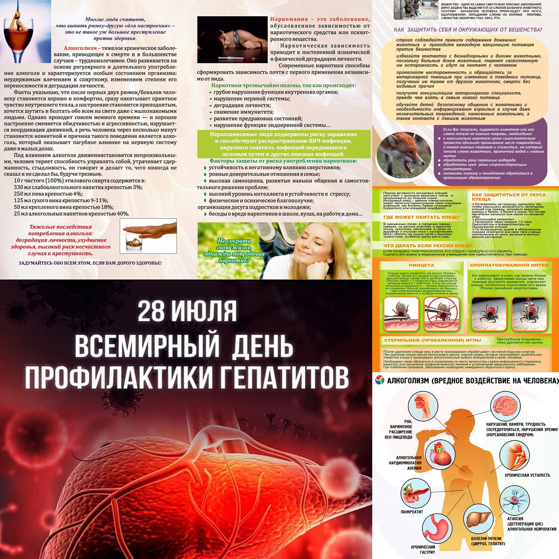ИЮЛЬ 2025: Дни здоровья и профилактики болезней
